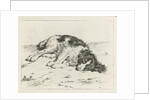 Sleeping dog by Hendrik Godart de Marée