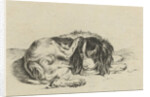 Lying dog by Hendrik Godart de Marée
