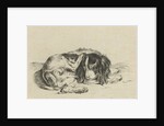 Lying dog by Hendrik Godart de Marée
