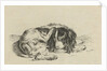 Lying dog by Hendrik Godart de Marée