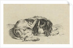 Lying dog by Hendrik Godart de Marée