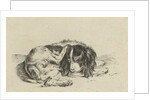Lying dog by Hendrik Godart de Marée