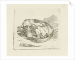 Sleeping dog by Jan Dasveldt