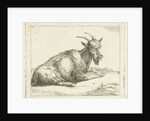 Goat by Jan Dasveldt