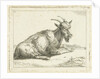 Goat by Jan Dasveldt