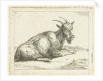 Goat by Jan Dasveldt