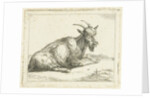 Goat by Jan Dasveldt
