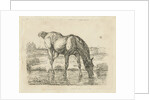 Drinking horse by Jan Dasveldt