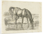 Drinking horse by Jan Dasveldt