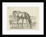 Drinking horse by Jan Dasveldt