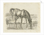 Drinking horse by Jan Dasveldt