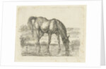 Drinking horse by Jan Dasveldt
