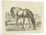 Drinking horse by Jan Dasveldt
