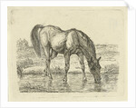 Drinking horse by Jan Dasveldt