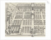 Hortus Botanicus of Leiden University by Claes Jansz. Visscher II