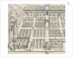 Hortus Botanicus of Leiden University by Claes Jansz. Visscher II