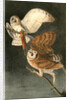 Barn Owl by John James Audubon