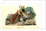 Ruffed Grouse by John James Audubon