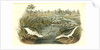 Spotted Sandpiper by John James Audubon