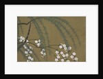 Momoyogusa Flowers of a Hundred Generations by Sekka Kamisaka