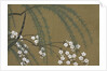 Momoyogusa Flowers of a Hundred Generations by Sekka Kamisaka