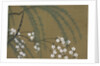 Momoyogusa Flowers of a Hundred Generations by Sekka Kamisaka