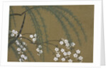 Momoyogusa Flowers of a Hundred Generations by Sekka Kamisaka