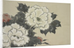 Momoyogusa Flowers of a Hundred Generations by Sekka Kamisaka
