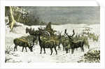 London Richmond Park UK 1887 Feeding the Deer in Severe Weather Great Britain by Anonymous