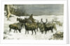 London Richmond Park UK 1887 Feeding the Deer in Severe Weather Great Britain by Anonymous