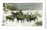 London Richmond Park UK 1887 Feeding the Deer in Severe Weather Great Britain by Anonymous