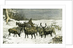 London Richmond Park UK 1887 Feeding the Deer in Severe Weather Great Britain by Anonymous