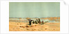 Sahara 19th Century Desert Camels by Anonymous