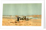 Sahara 19th Century Desert Camels by Anonymous