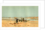 Sahara 19th Century Desert Camels by Anonymous
