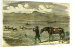 South Africa Hunting 1850 by Anonymous