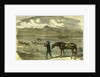 South Africa Hunting 1850 by Anonymous