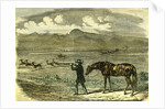 South Africa Hunting 1850 by Anonymous