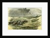 Lyndhurst New Forest UK 1850 Chase of a Jackal Hunt by Anonymous