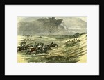 Lyndhurst New Forest UK 1850 Chase of a Jackal Hunt by Anonymous