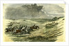 Lyndhurst New Forest UK 1850 Chase of a Jackal Hunt by Anonymous