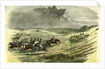 Lyndhurst New Forest UK 1850 Chase of a Jackal Hunt by Anonymous
