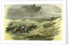 Lyndhurst New Forest UK 1850 Chase of a Jackal Hunt by Anonymous