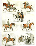 Horsemanship UK 1885 the Seven Ages of Horsemanship by Anonymous