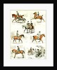 Horsemanship UK 1885 the Seven Ages of Horsemanship by Anonymous
