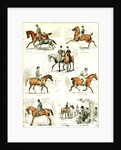 Horsemanship UK 1885 the Seven Ages of Horsemanship by Anonymous