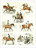 Horsemanship UK 1885 the Seven Ages of Horsemanship by Anonymous