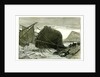 Dover UK 1887 Wreck of the Russian Vessel Joutsen by Anonymous