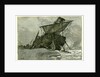 Wreck of the Tally Ho Eastbourne UK 1887 by Anonymous