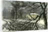 Kensington Gardens London 1887 Damage to Trees Near Queen's Gate by Anonymous